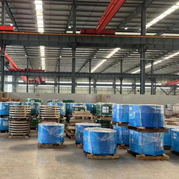 AISI316 / 316L Stainless Steel Strips / 316L SS Coil / 316L Stainless Steel Band
