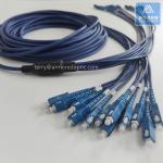 12 Cores SM Stainless Steel Armored Patch Cable SC-SC-20m Blue PVC 6.0mm