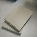 Alkali Resistance Clean 1200*15mm Plastic Concrete Wall Forms