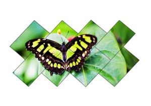 Wholesale Wall Mounted Narrow Bezel LCD Video Wall 1209.6mm X 680.4mm 8 Bit 16.7M Color from china suppliers