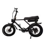 20 Inch Electric Fat Tyre Bike Mountain Electric Bicycle for Adult E Dirt Bike