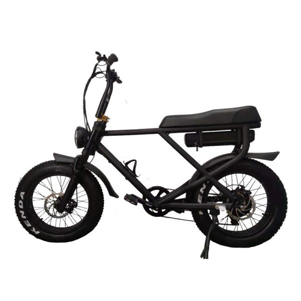 Removable Battery Full Suspension 1000W Electric Fat Bike with Lithium Power