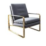 Modern Living Room Leather Leisure Chair Metal Frame Armchair