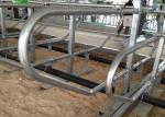 3mm Thickness Galvanized Pipe Cow Free Stall For Dairy Cow Farms