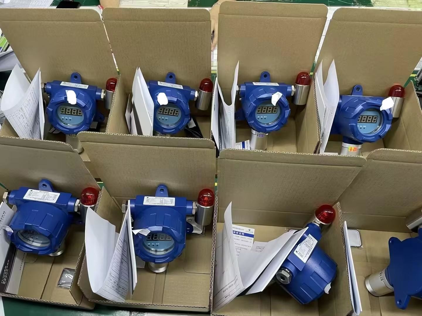 24-Hour Continuous Monitoring Fixed N2 Gas Detector With Remote Control And Alarm Function For The Freezing Area Food Factory