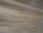 Rotary Cut Agathis Veneer Sheet, Face/Back Grade