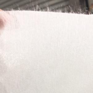 Wholesale 140mm - 2100mm Width Non Woven Material SMS Non Woven Polypropylene Roll from china suppliers