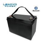 LEADYO 12V 100Ah Rechargeable Battery Lifepo4 Battery Pack 5000 Times Long Life