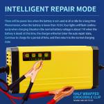 Private Mold 12V Pulse Repair Lead Acid Battery Charger with Fast Charging Speed