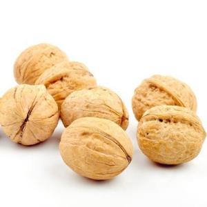 Wholesale Chinese Supplier Raw Xinjiang 185 Walnut Light Amber Color In Shell Wholesale Price For Sale from china suppliers