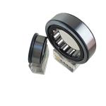 Single Row 45*100*25mm NU/NJ/NF309ECP Cylindrical Roller Bearing with Oil