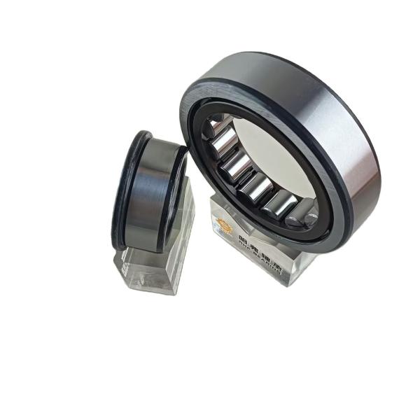 Single Row 45*100*25mm NU/NJ/NF309ECP Cylindrical Roller Bearing with Oil