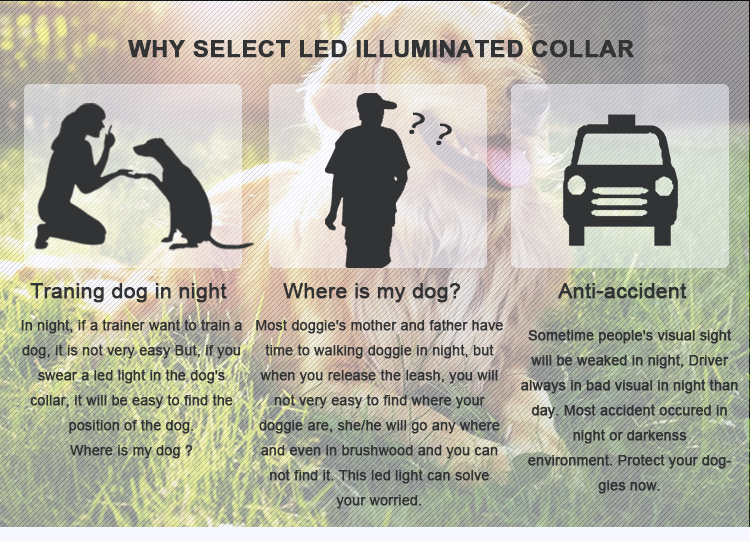 Rechargeable USB LED Dog Collar Pet Product Night Walking Glow Safety