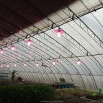 Solar Winter Greenhouses Warm Agricultural Greenhouse with Galvanized Steel
