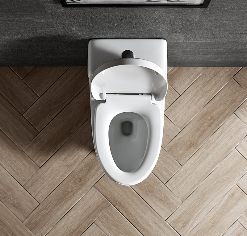 Soft closed WC Ceramic Toilet Bowl Siphon One Piece Dual Flush