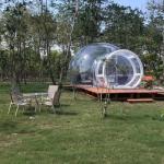 Hotel Clear Inflatable Bubble Tent , Outdoor Inflatable Transparent Tent For