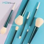 Resin Handle Soft Nylon Hair Makeup Brush Set Beauty Cosmetic Tool Kits