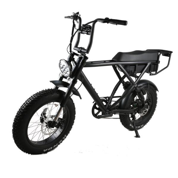 Smart Type Sensor DOMANCA 500w/750w/1000w Full Suspension Super Electric Cruiser