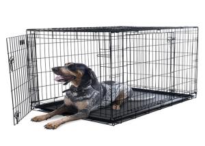 Wholesale Pet cages dog cage stainless steel commercial dog kennels pet cages carriers houses dog from china suppliers