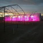 Automatic Light Deprivation Greenhouse Blackout System Greenhouse For Medical