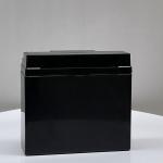 Leoch DJW12-20 12V20Ah Replacement Battery for UPS Power Communication Medical