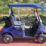 2 Seater Golf Cart 30 KM/H 60V 100AH Lead Acid Cell Operated EV Golf Cart