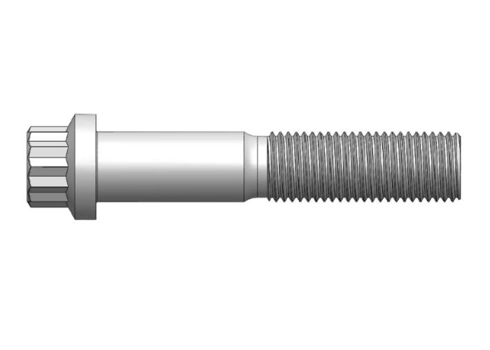 INCH Measurement System Heavy Duty 12 Point FLANGE Bolt for Fastening