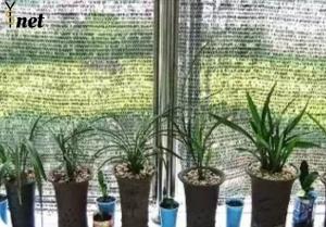Wholesale 120GSM Anti UV Shade Net Horticulture 80 Percent Shade Net 2*100m from china suppliers