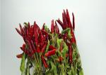 Sterilized Dried Red Chilli Peppers 4cm Asian Dried Chili Peppers HACCP