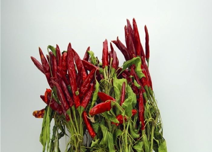 Chaotian Hot Pot Chilli Dehydrated Whole Dried Red Chili Peppers