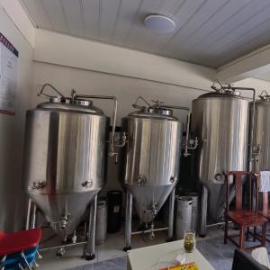Wholesale 220V GHO 300L Brewery Jacketed Fermenters for Fermenting Equipment at Competitive from china suppliers