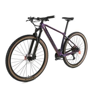 Wholesale Thru Axle 12*148mm Carbon Fiber Mountain Bike SRAM GX EAGLE Lunar 12 Speed from china suppliers