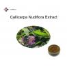 24% Flavones Callicarpa Nudiflora Organic Herbal Extracts Pharmaceutical gradeGMP/DML for sale