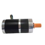 Faradyi 0.16A 247.2rpm Customized Permanent Magnet Brush Brushless DC Motor Gear