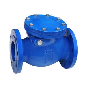 Wholesale Non Return Stainless Steel Check Valve Spring Loaded Medium Pressure from china suppliers