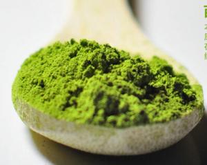 Wholesale Fujian Organic Healthy Slimming Matcha Green Tea Powder Original Tea Flavor from china suppliers