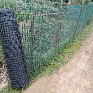 Wholesale Recycled Plastic Farm Fence Posts Geogrid for Road Construction MESH SIZE 12.7*12.7mm from china suppliers