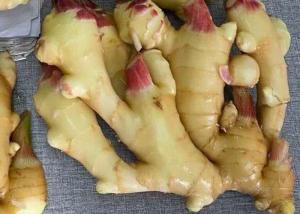 Wholesale 300g Air Dried Ginger yellow from china suppliers
