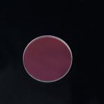 High Reflective 45° laser relection mirror 12.7*2mm 1064nmHR laser glass plano