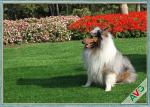 Landscape Balcony Lawn Pet Artificial Turf Residential Dog Synthetic Grass
