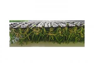 Wholesale SBR Latex Playground Turf 25mm Astro Turf Playground Surfaces from china suppliers