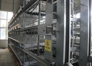 Wholesale Industrial Layer Poultry Farming Equipment Silver Cage System In Poultry from china suppliers