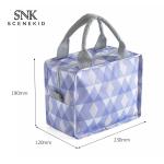 PEVA Lining 600D Polyester Insulated School Lunch Bag