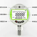 SS304 Water Oil Gas Digital Pressure Gauge 80mm 600 Bar