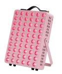 300W Red Infrared Light Therapy Panel 660Nm 850Nm Whitening Body