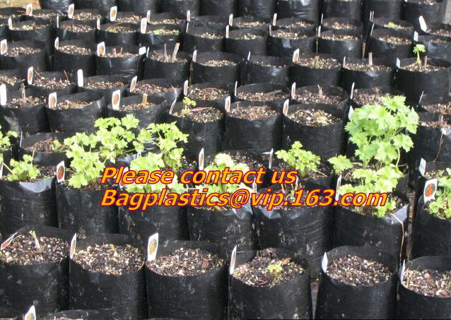 100% Biodegradable mulch, biological degradation processes, fruit box,flower pot,jute cloth,cultivating bag,jute net,net