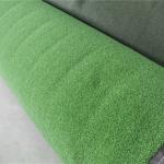 Green Outdoor Artificial Grass Carpet Residential Environmantally Decoration