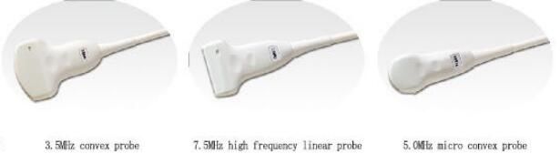Diagnostic Ultrasound Equipment Veterinary Ultrasound Scanner With OB Software for Animals and 100 Images Storage