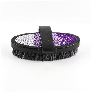 Wholesale Gradient Color Bling Horse Grooming Products Brushes For Horse Body Cleaning from china suppliers