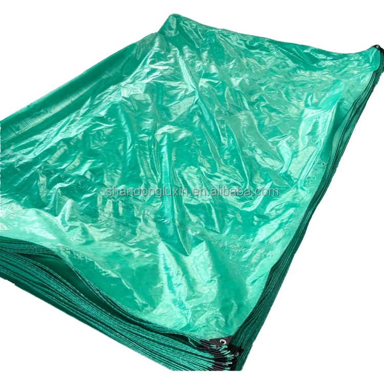Fire Retardant Blue PE Tarpaulin for Cover Protect Your Valuables from Rain and Sun